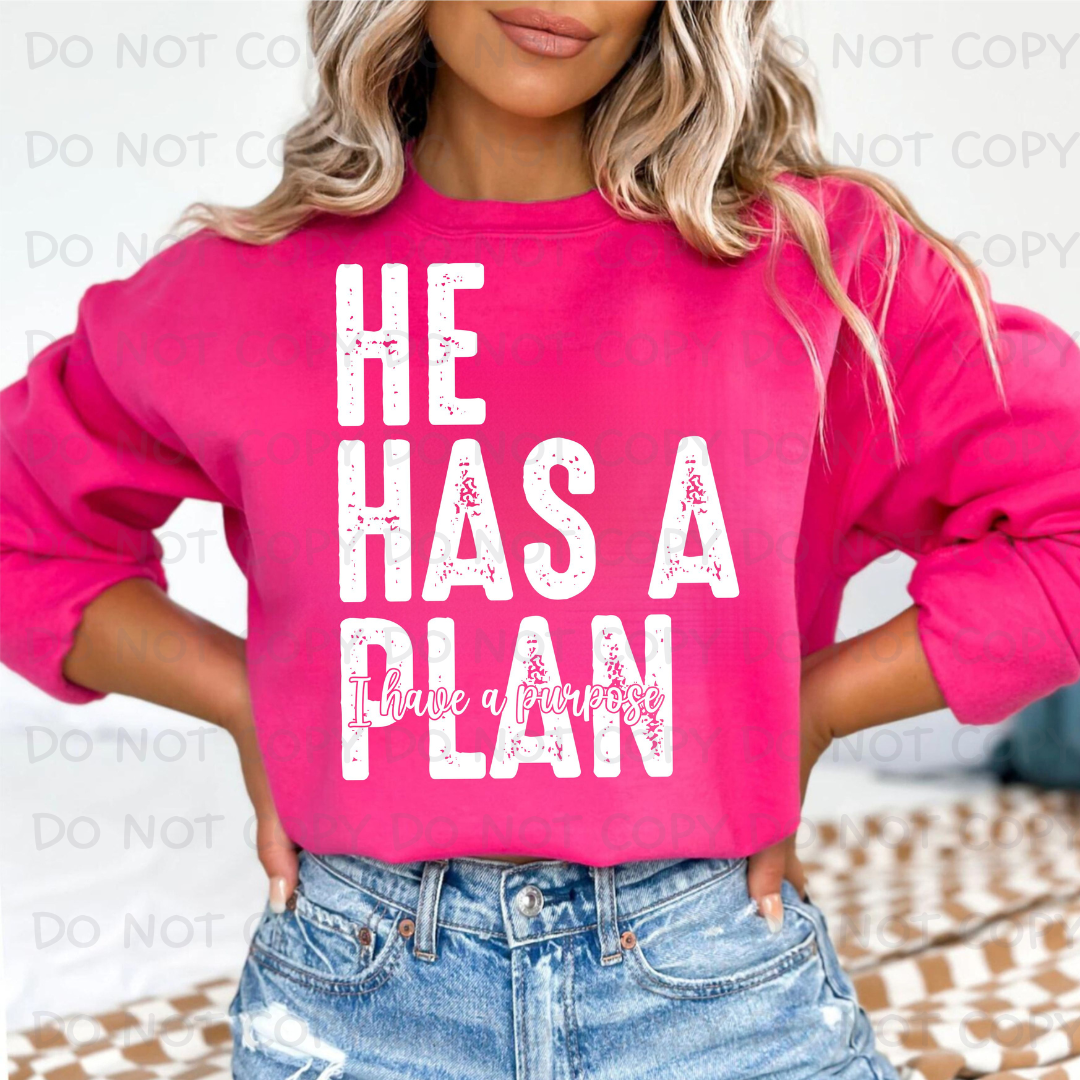 He Has a Plan SHIRT 1019